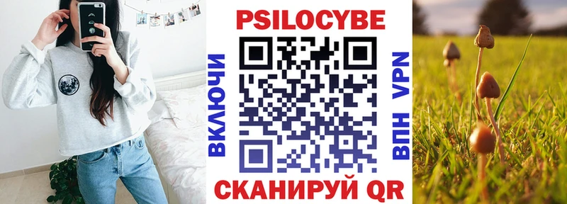 mega вход  где найти   Черепаново  Псилоцибиновые грибы мухоморы 